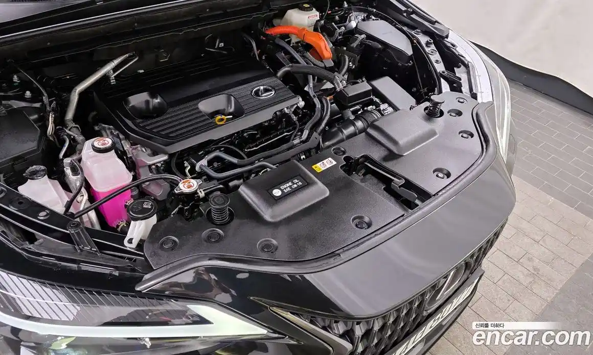 Lexus NX 2024 2.5 гидро в Москве № 167985, фото 6