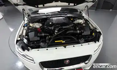Jaguar XF 2017 3.0 гидро в Москве № 758390, миниатюра 6