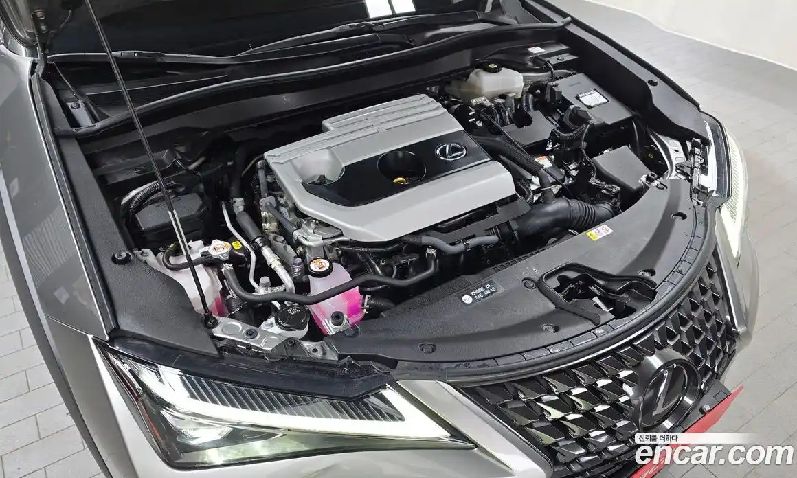 Lexus UX 2022 2.0 гидро в Москве № 275434, фото 6