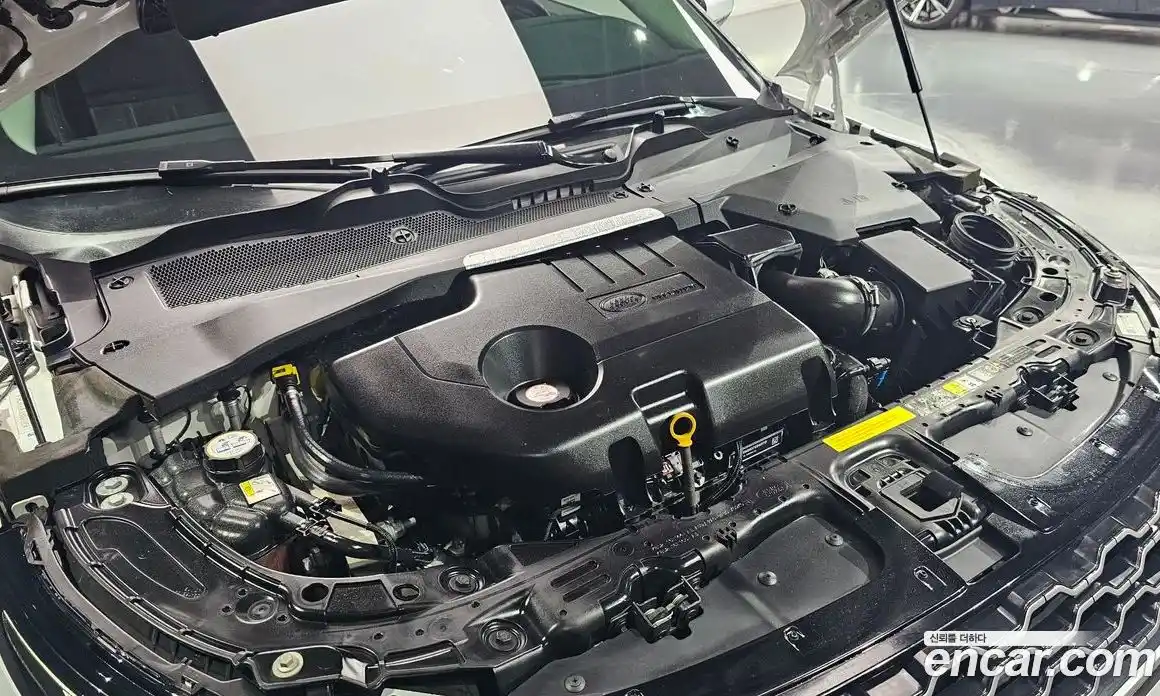 Land Rover Range-Rover Evoque 2019 2.0 гидро в Москве № 166161, фото 6