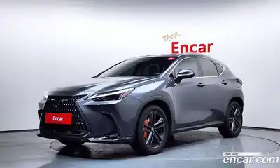 Lexus NX, 2024