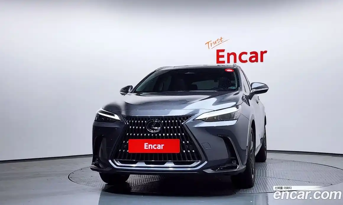 Lexus NX 2024 2.5 гидро в Москве № 198734, фото 3