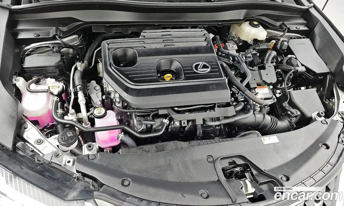 Lexus UX 2025 2.0 гидро в Москве № 895766, фото 6
