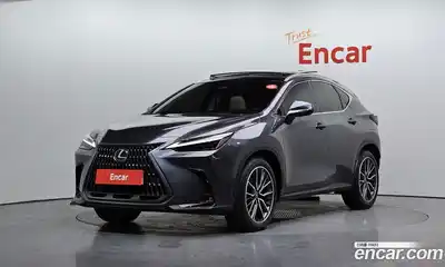 Lexus NX, 2024