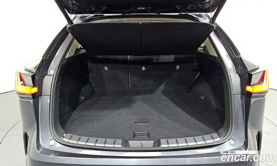 Lexus NX 2024 2.5 гидро в Москве № 168023, фото 20
