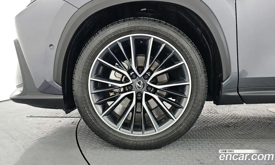 Lexus NX 2024 2.5 гидро в Москве № 168023, фото 5
