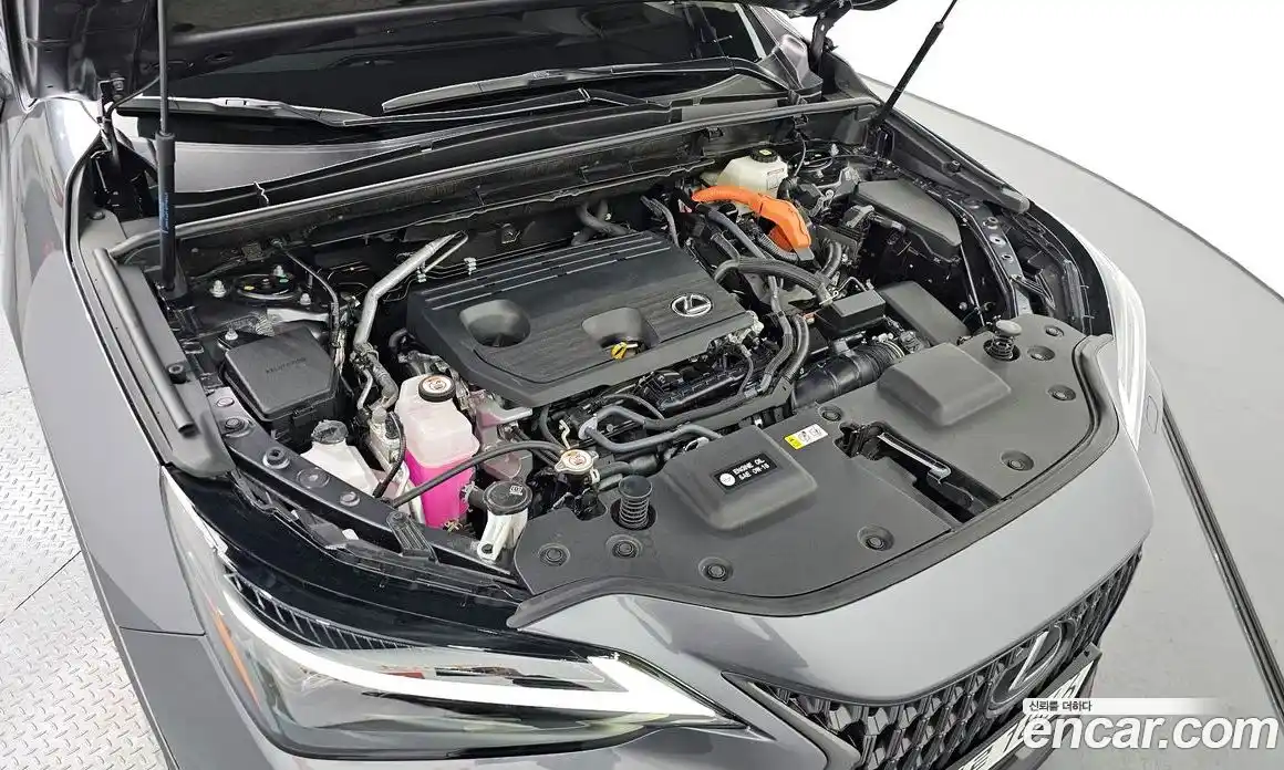 Lexus NX 2024 2.5 гидро в Москве № 168023, фото 6