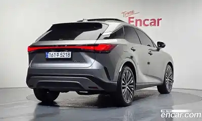 Lexus RX 2023 2.5 гидро в Москве № 198783, миниатюра 2