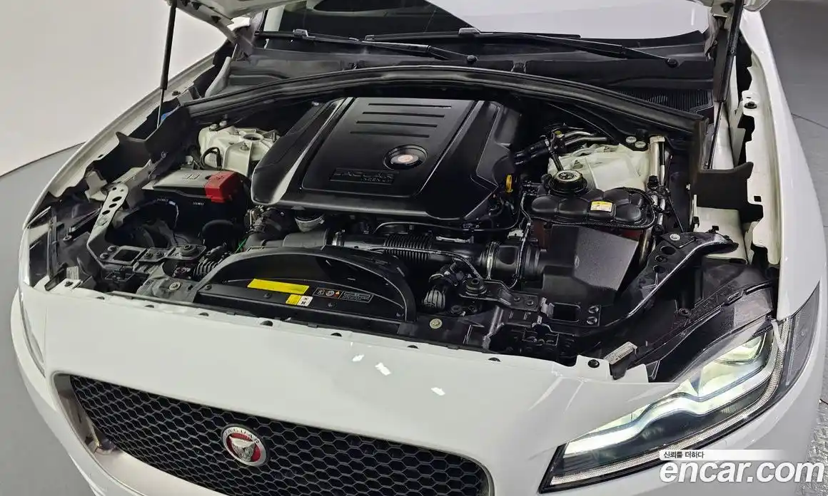 Jaguar F-Pace 2019 2.0 гидро в Москве № 304946, фото 6