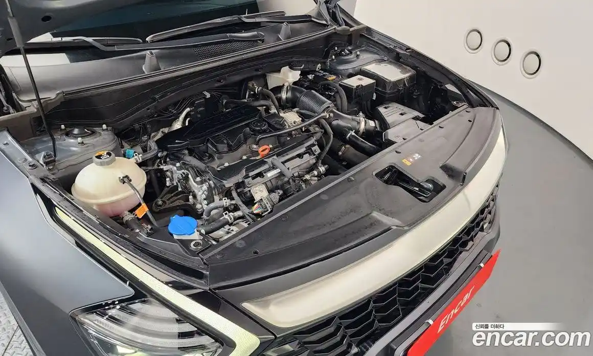 Kia Sportage 2023 1.6 Автомат в Москве № 1009602, фото 6