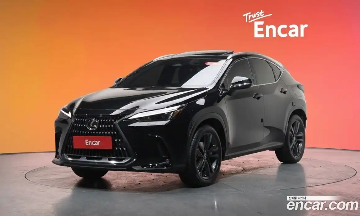 Lexus NX 2024 2.5 гидро в Москве № 167994, фото 20