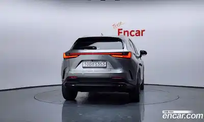 Lexus NX 2023 2.5 гидро в Москве № 766803, миниатюра 4