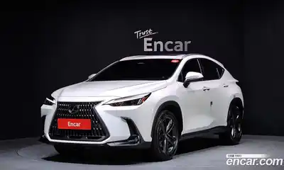 Lexus NX, 2024