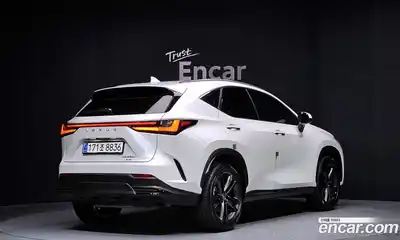 Lexus NX 2024 2.5 гидро в Москве № 168043, миниатюра 2