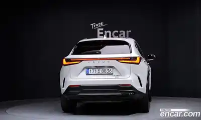 Lexus NX 2024 2.5 гидро в Москве № 168043, миниатюра 4