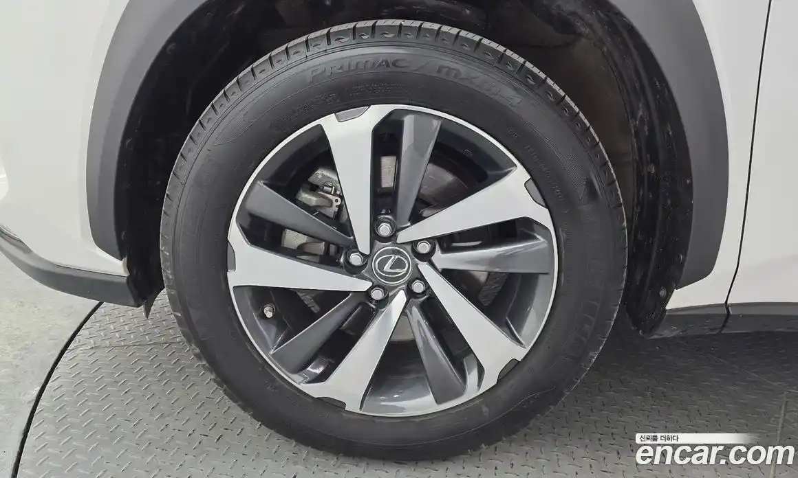 Lexus NX 2018 2.5 гидро в Москве № 825920, фото 5