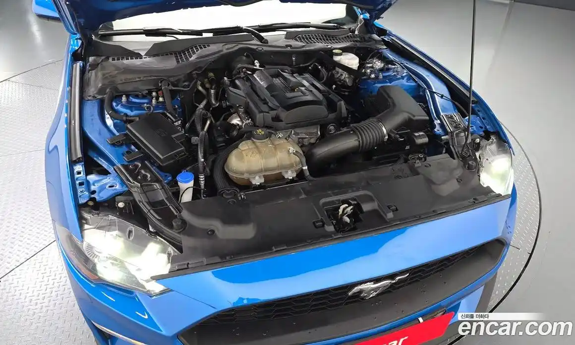 Ford Mustang 2021 2.3 гидро в Москве № 976253, фото 6