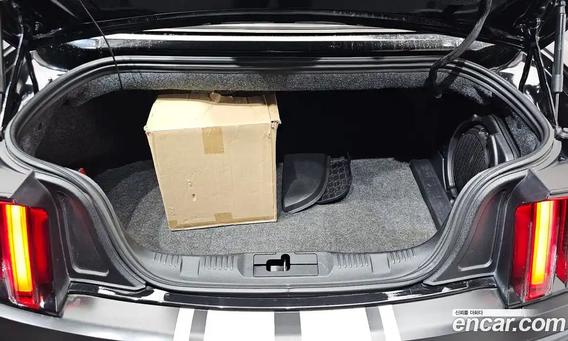 Ford Mustang 2015 5.0 гидро в Москве № 280889, фото 20