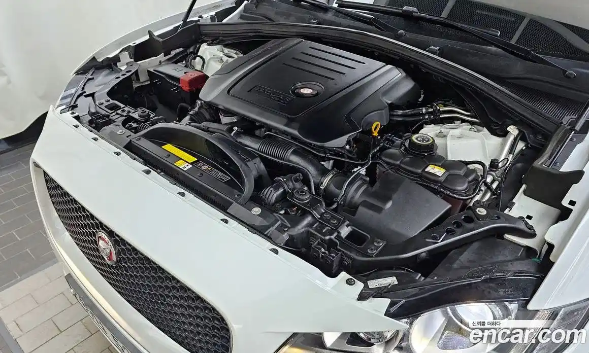 Jaguar F-Pace 2017 2.0 гидро в Москве № 335831, фото 6