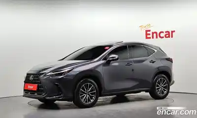 Lexus NX, 2022