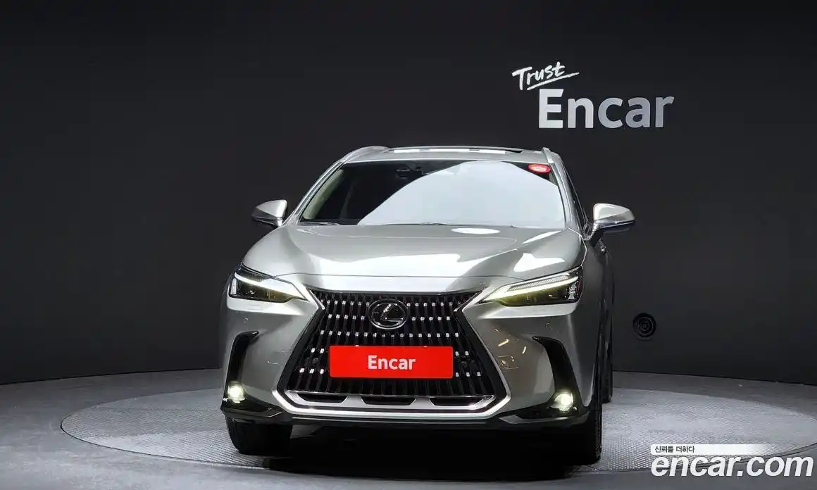 Lexus NX 2024 2.5 гидро в Москве № 198856, фото 3
