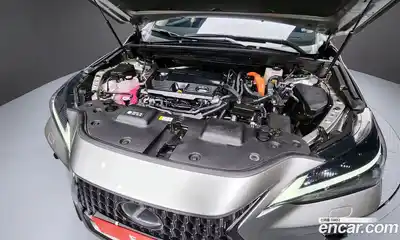 Lexus NX 2024 2.5 гидро в Москве № 198856, миниатюра 6