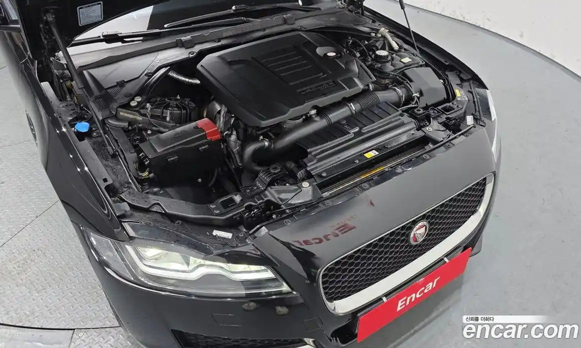Jaguar XF 2019 2.0 гидро в Москве № 283656, фото 6