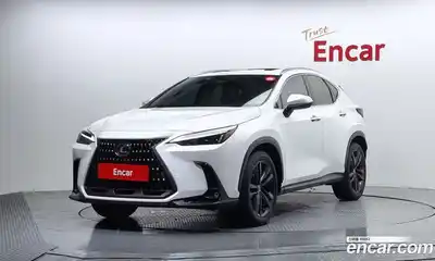 Lexus NX, 2024