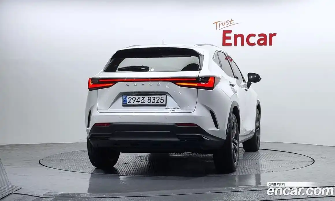 Lexus NX 2024 2.5 гидро в Москве № 167962, фото 4