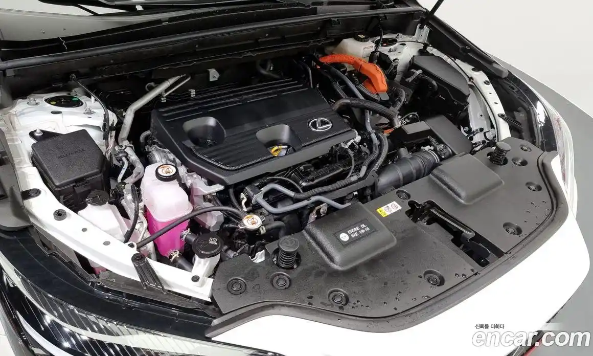 Lexus NX 2024 2.5 гидро в Москве № 167962, фото 6