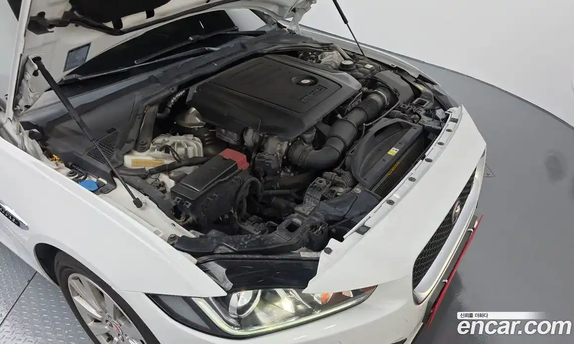 Jaguar XE 2016 2.0 гидро в Москве № 335825, фото 6