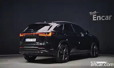 Lexus NX 2024 2.5 гидро в Москве № 168047, миниатюра 2