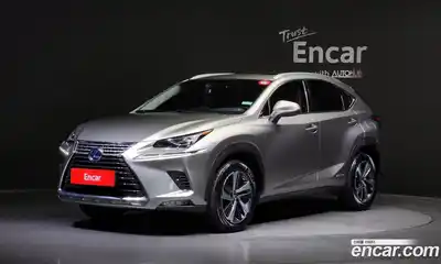Lexus NX, 2018