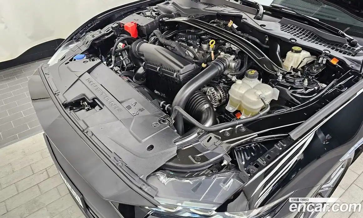 Ford Mustang 2024 2.3 гидро в Москве № 318792, фото 6