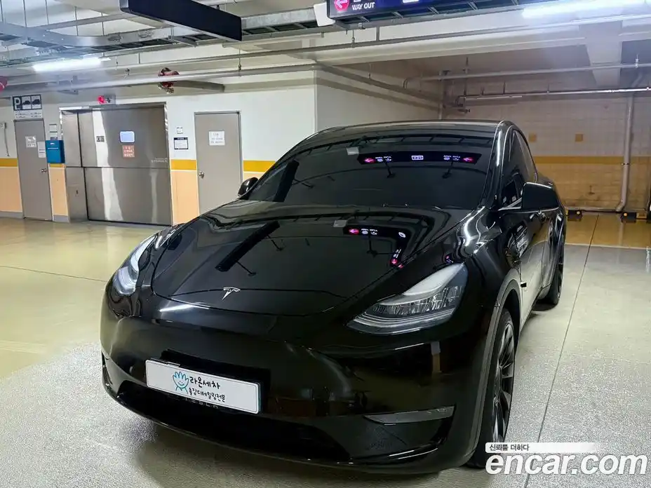 Tesla Model Y 2021 гидро в Москве № 381921, фото 14