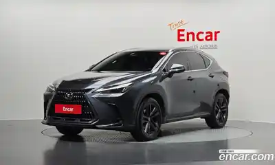 Lexus NX, 2022