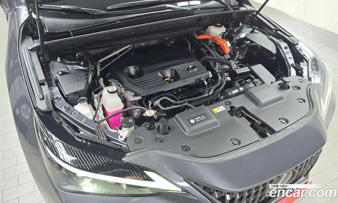 Lexus NX 2022 2.5 гидро в Москве № 825855, фото 6