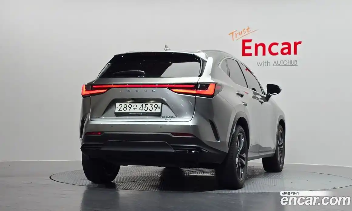 Lexus NX 2023 2.5 гидро в Москве № 198718, фото 4
