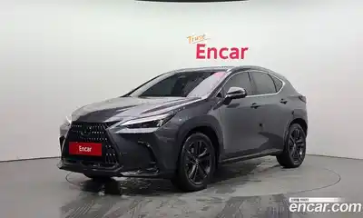 Lexus NX, 2023