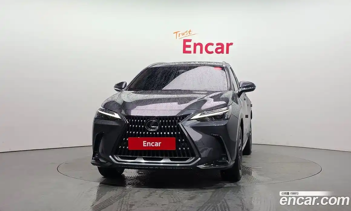 Lexus NX 2023 2.5 гидро в Москве № 214656, фото 3