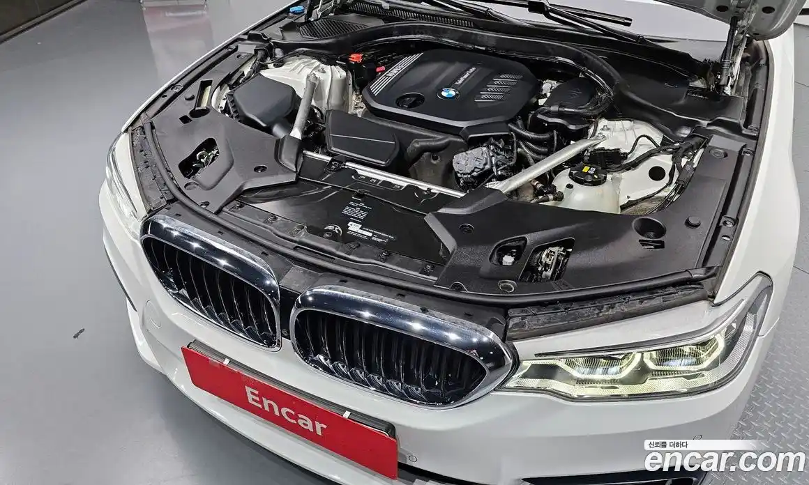 BMW 5-Series 2020 2.0 гидро в Москве № 229214, фото 6
