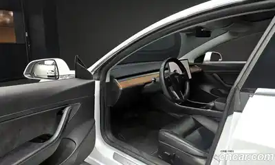 Tesla Model 3 2020 0.1 гидро в Москве № 167848, миниатюра 10