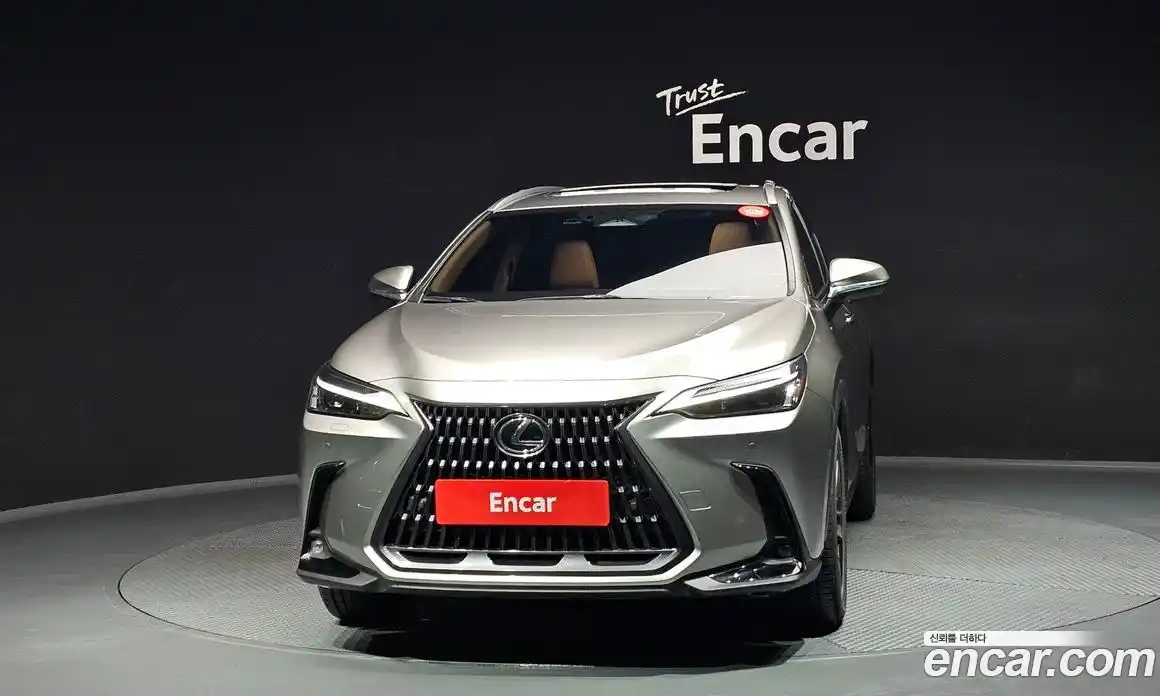 Lexus NX 2024 2.5 гидро в Москве № 168028, фото 3