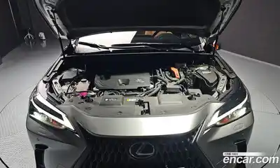 Lexus NX 2024 2.5 гидро в Москве № 168028, миниатюра 6