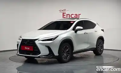 Lexus NX, 2024
