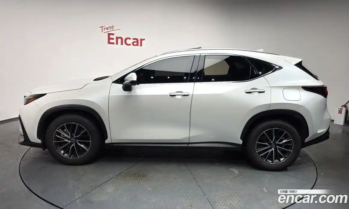 Lexus NX 2024 2.5 гидро в Москве № 168071, фото 20