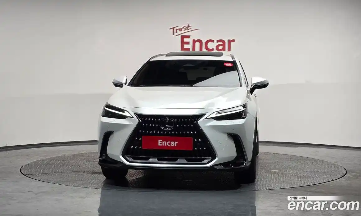 Lexus NX 2024 2.5 гидро в Москве № 168071, фото 3