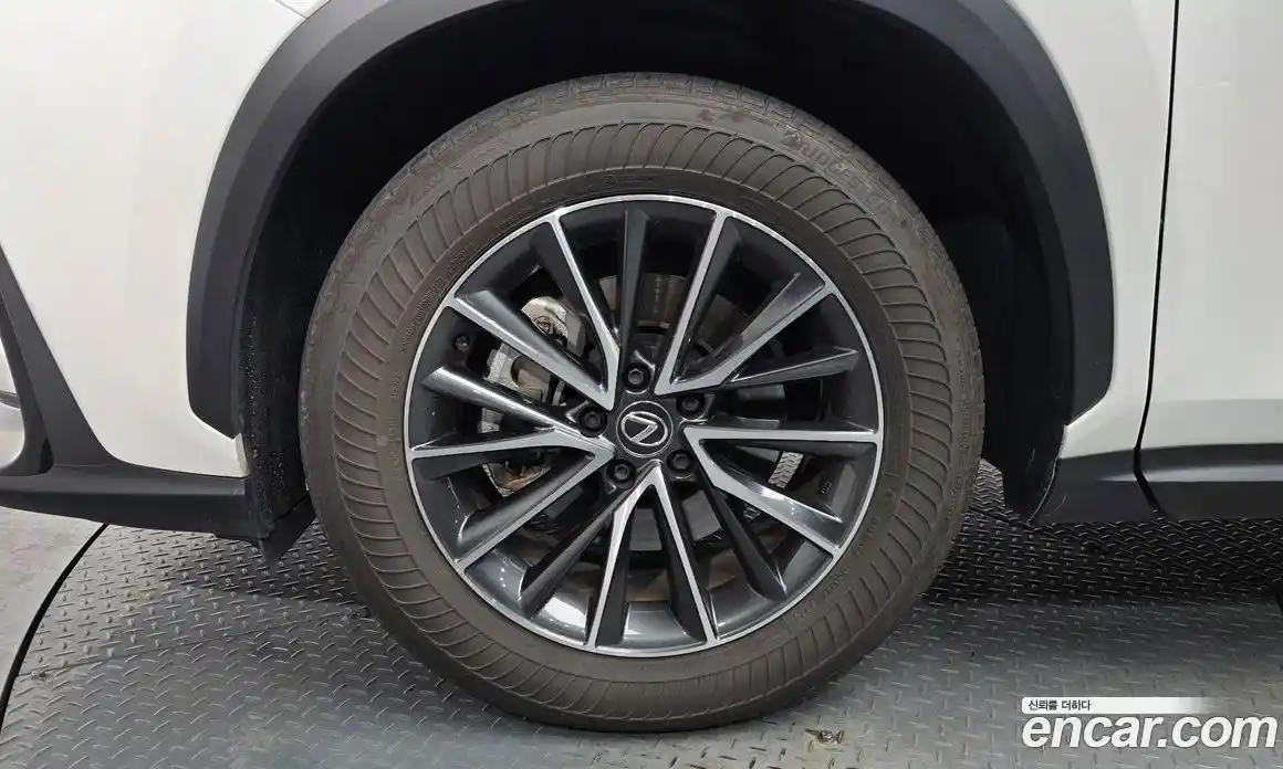 Lexus NX 2024 2.5 гидро в Москве № 168071, фото 5