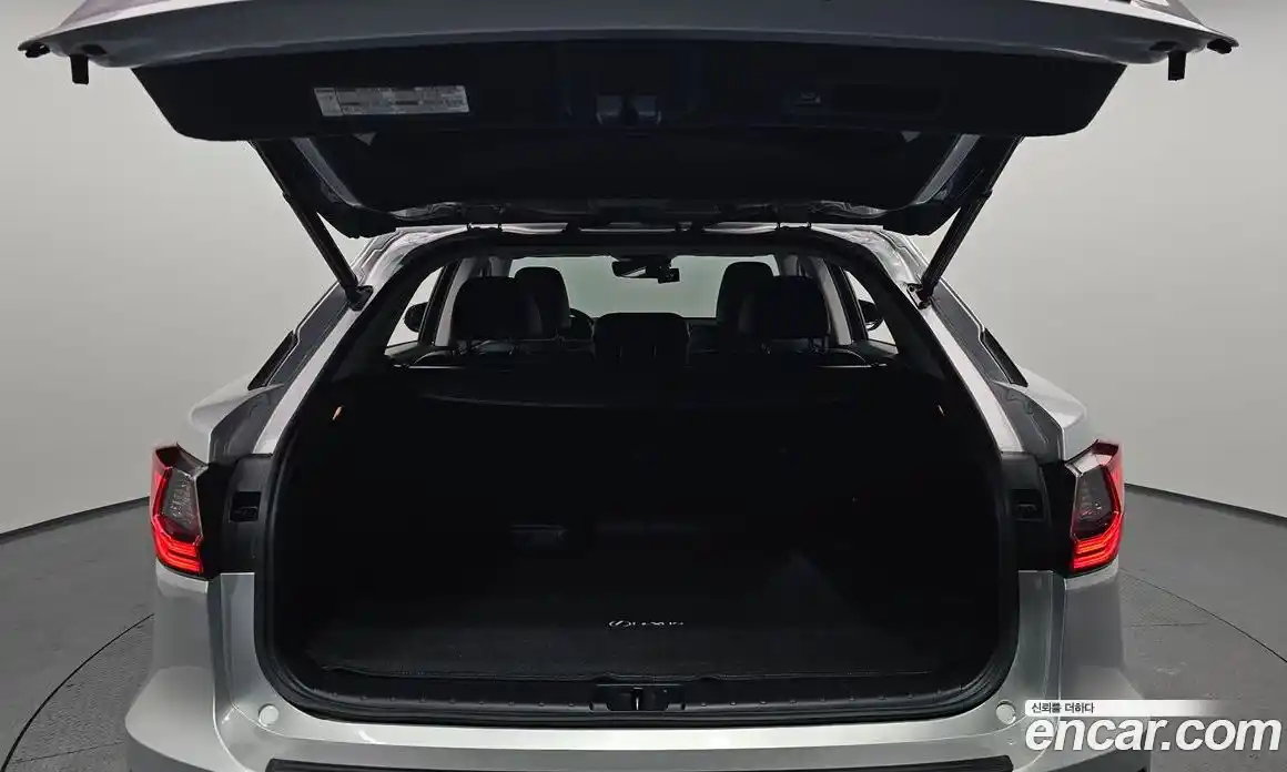 Lexus RX 2018 3.5 гидро в Москве № 168234, фото 20