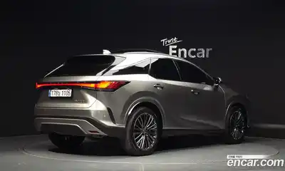 Lexus RX 2024 2.5 гидро в Москве № 766773, миниатюра 2